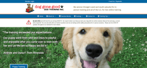 Doggonegoodtraining 768x357
